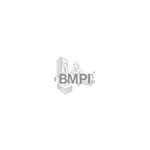 bmpi logo